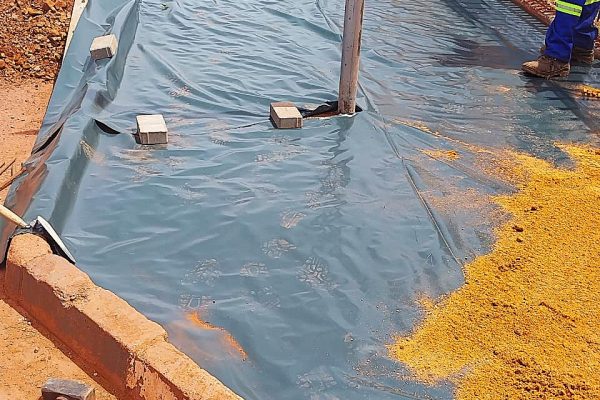 WhatsApp Image 2026-01-22 at 20.31.48 (1)