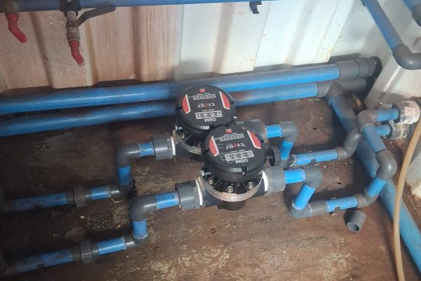 WhatsApp Image 2026-02-10 at 11.50.34